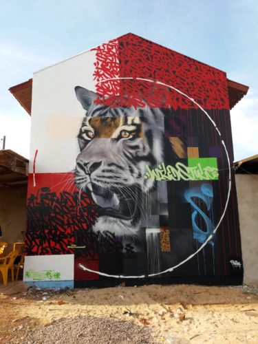 11-mural-wildstyle-projeto-belazel-cascavel-parana-